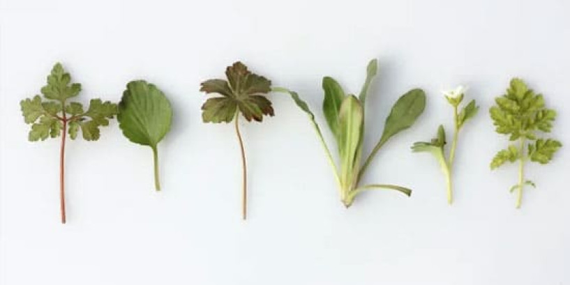 What you need to know about the diagnosis, treatment, and